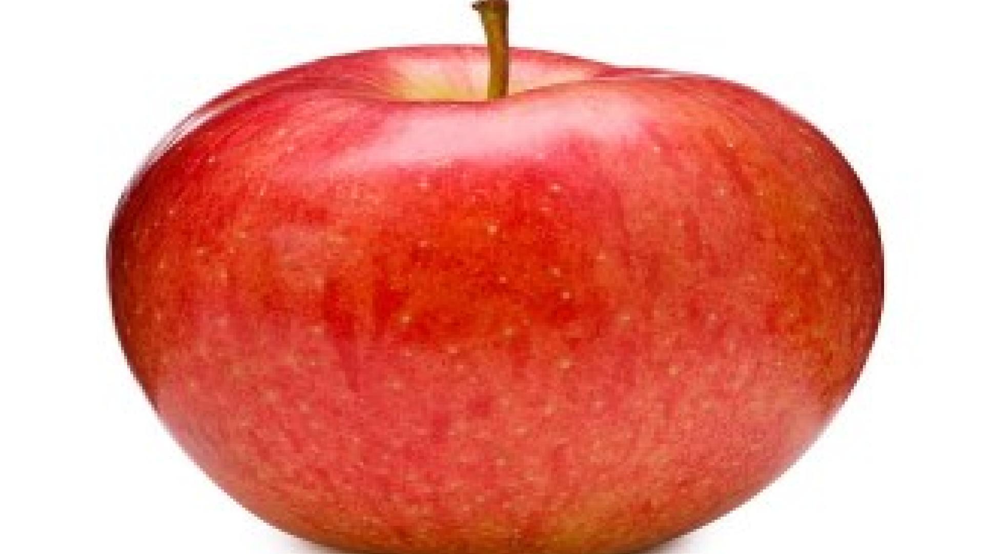 picture of an apple