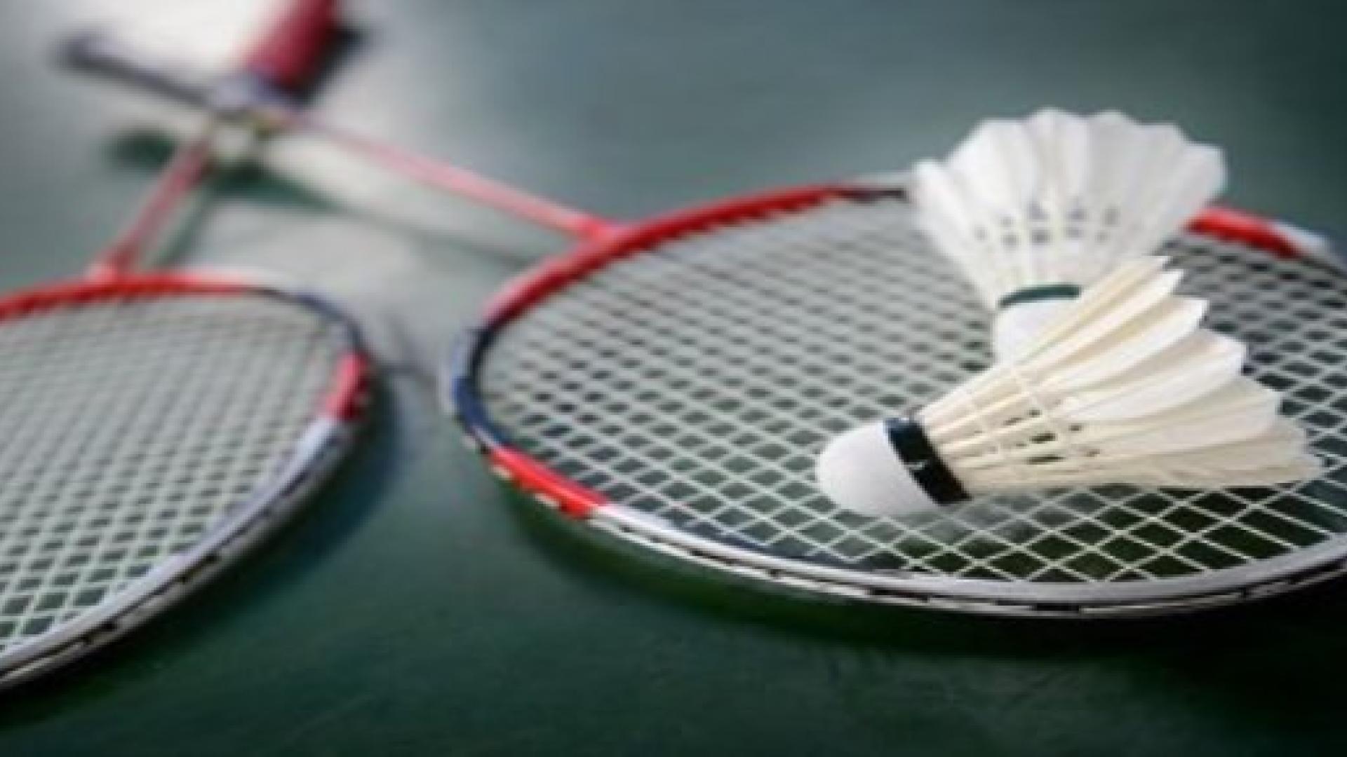 badminton bat and birdie