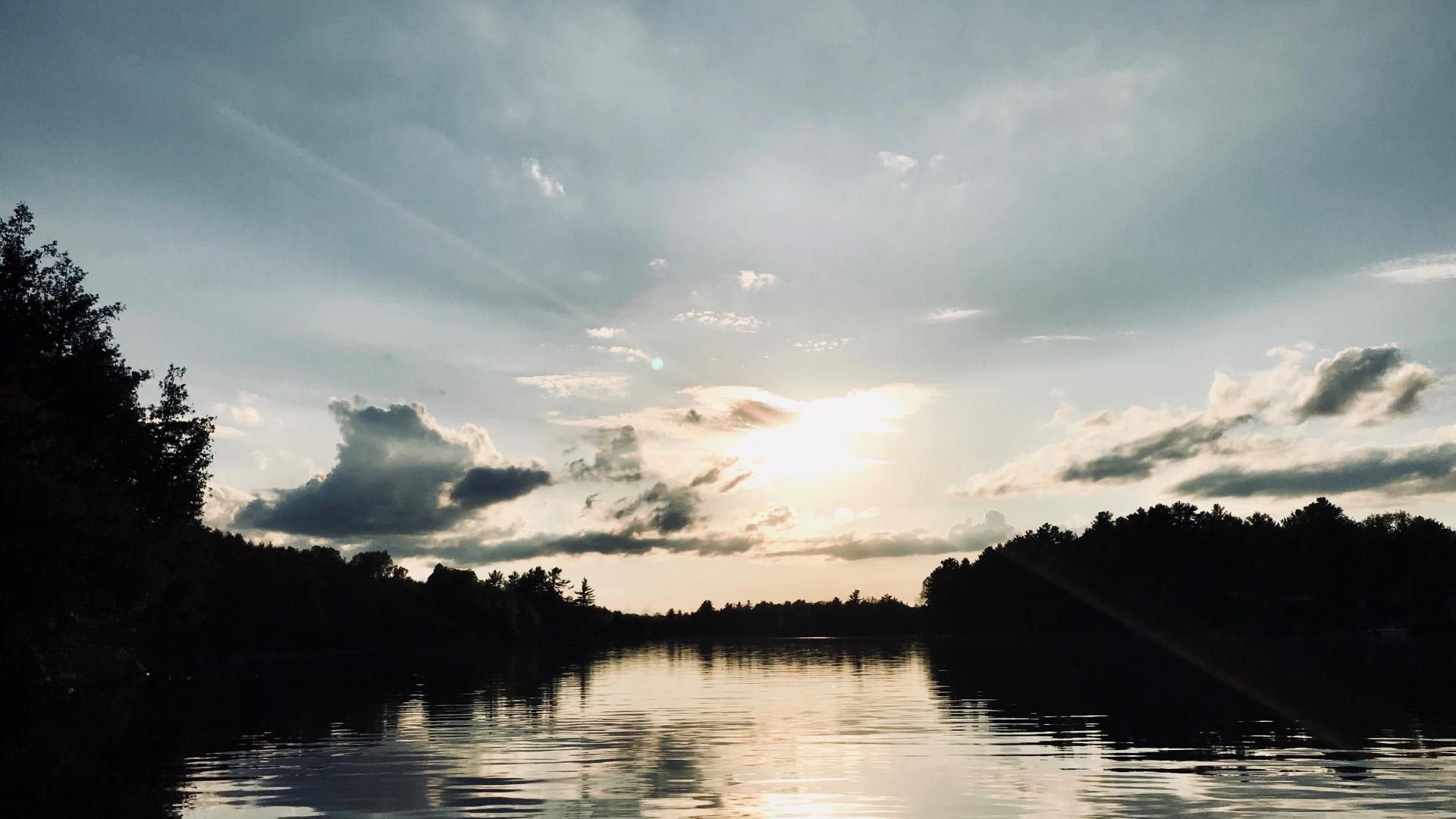 Lake surrounded by trees and blue hour. 
